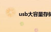 usb大容量存储设备驱动下载