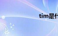 tim是什么软件