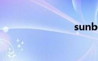 sunbe官网