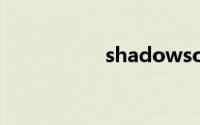 shadowsoc win416