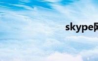 skype网络电话