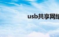 usb共享网络电脑没反应