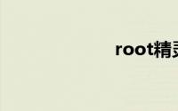 root精灵电脑版