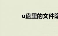 u盘里的文件隐藏了怎么恢复