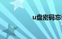 u盘密码忘记了怎么办