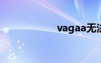 vagaa无法搜索资源