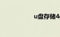 u盘存储4g以上文件