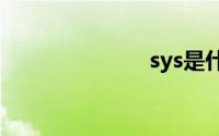 sys是什么意思