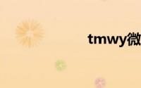 tmwy微信网页版