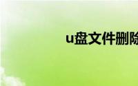 u盘文件删除不了怎么办