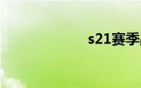 s21赛季战令皮肤
