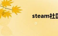 steam社区登录失败