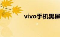 vivo手机黑屏打不开怎么办