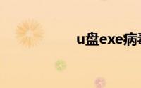 u盘exe病毒专杀工具