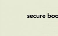 secure boot violation