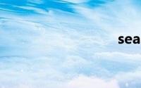seagull