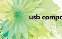 usb composite device