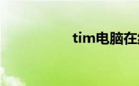 tim电脑在线什么意思