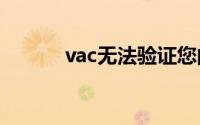 vac无法验证您的游戏会话国服