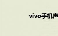 vivo手机声音突然变小