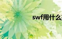 swf用什么播放器打开