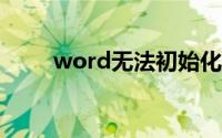 word无法初始化visual basic环境