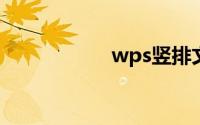 wps竖排文字怎么打