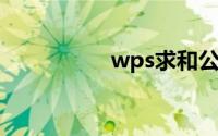 wps求和公式怎么输入