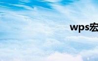 wps宏被禁用