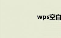 wps空白页删不掉