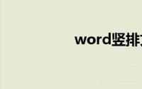 word竖排文字怎么打