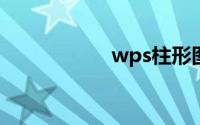 wps柱形图表怎么做