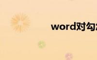 word对勾怎么打出来