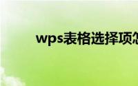 wps表格选择项怎么设置下拉选项
