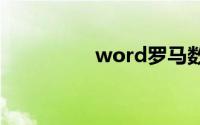 word罗马数字怎么输入