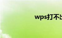 wps打不出字怎么办