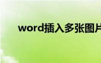 word插入多张图片自动排版怎么设置