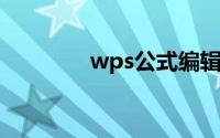 wps公式编辑器工具栏不见