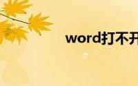 word打不开文件怎么办