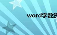 word字数统计不含标点