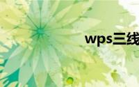 wps三线表有虚线