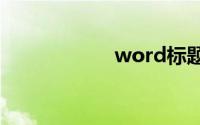 word标题格式设置