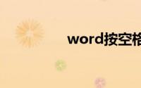word按空格键文字消失