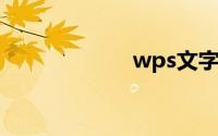wps文字自动换行