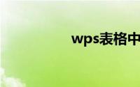 wps表格中如何画斜线
