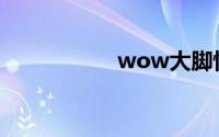 wow大脚怀旧服官网