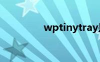 wptinytray是什么启动项