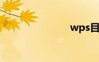 wps目录生成