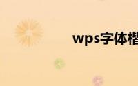 wps字体楷体gb2312