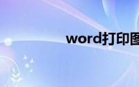 word打印图片显示不全